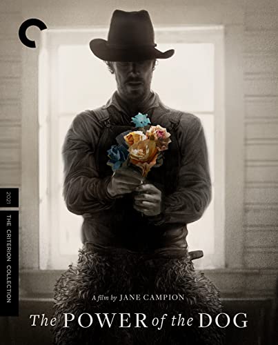 The Power of the Dog Criterion Collection