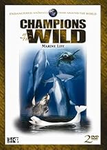 Champions of the Wild