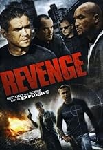 Revenge