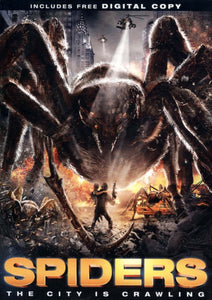 Spiders