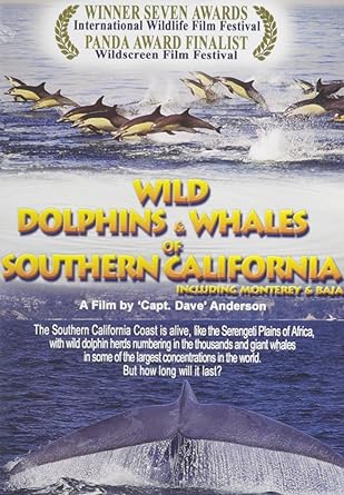Wild Dolphins & Whales of Southern California