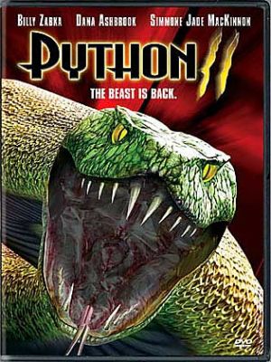 Python II