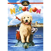 Napoleon (1997)