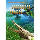 Wildlife Stories: Crocodiles And Snakes