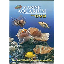 Marine Aquarium (Encore)