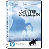 Winter Stallion