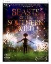 Beasts Of The Southern Wild (DVD & Blu-ray Combo)