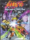 Naruto the Movie: Ninja Clash in the Land of Snow